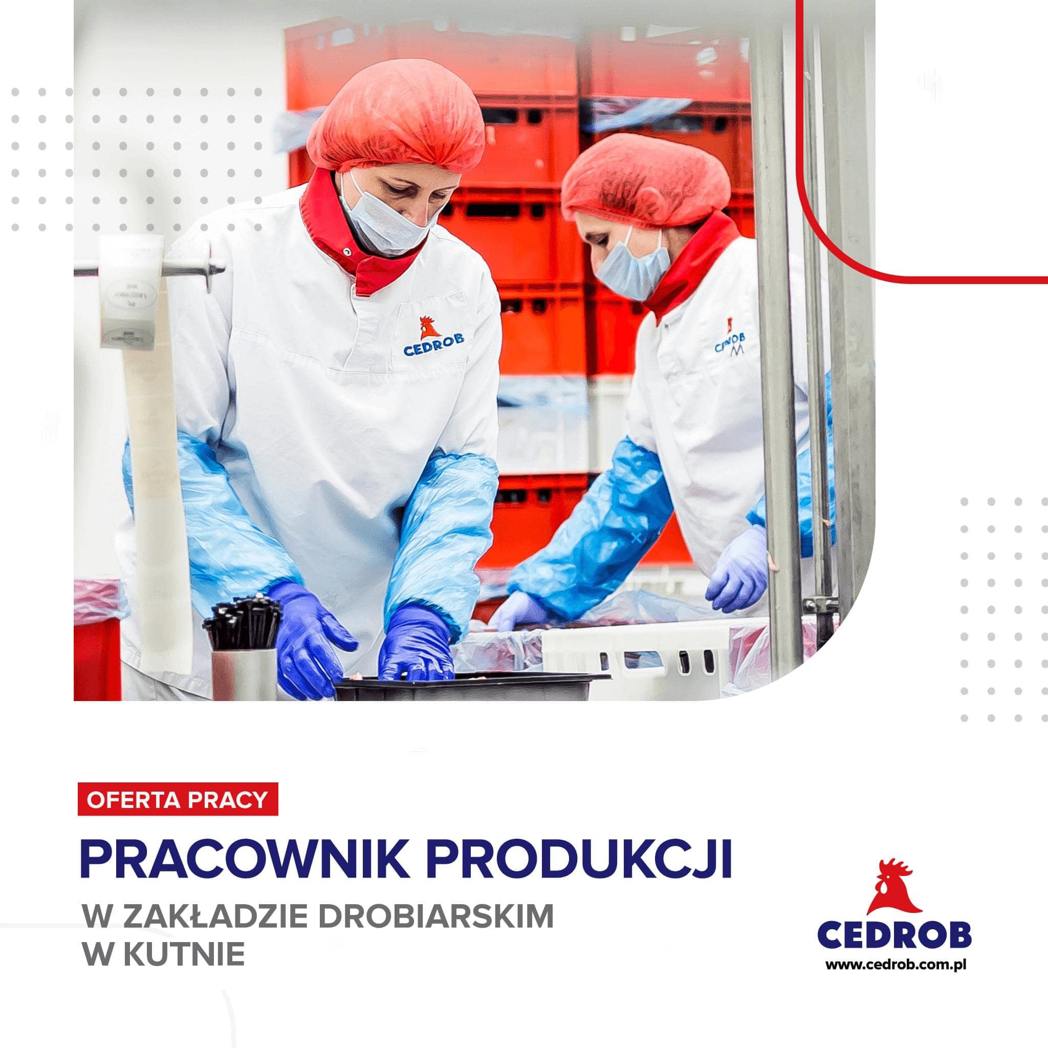 PRACOWNIK PRODUKCJI - Sekcja Rozbioru/Pakowania